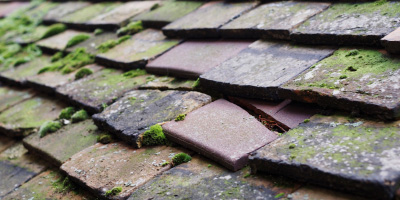 Little Ditton roof repair costs